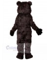 Bear mascot costume