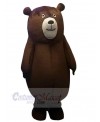 Bear mascot costume