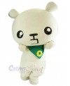 Bear mascot costume