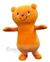 Bear mascot costume