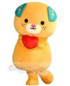 Bear mascot costume