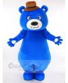 Bear mascot costume