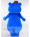 Bear mascot costume