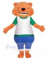 Bear mascot costume