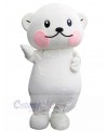 Bear mascot costume