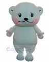 Bear mascot costume