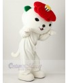 Bear mascot costume