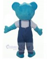 Bear mascot costume