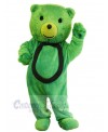 Bear mascot costume