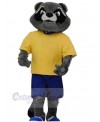 Raccoon mascot costume