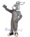 Easter Bunny Rabbit mascot costume