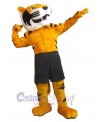Tiger mascot costume