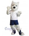 Dog mascot costume