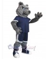 Bear mascot costume