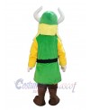 Pirate mascot costume