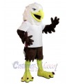 Hawk mascot costume