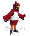 Cardinal Bird mascot costume