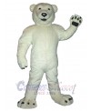 Bear mascot costume