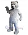 Bear mascot costume