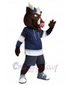 Boar mascot costume