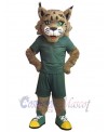 Bobcat mascot costume