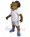 Ram mascot costume
