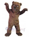 Bear mascot costume