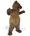 Bear mascot costume