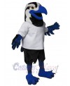 Hawk mascot costume