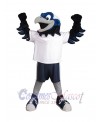 Hawk mascot costume