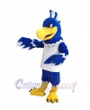 Hawk mascot costume