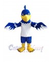 Hawk mascot costume