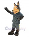 Coyote mascot costume