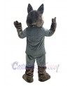 Coyote mascot costume