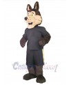 Coyote mascot costume