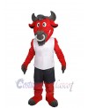 Bull mascot costume