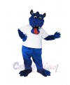 Dragon mascot costume