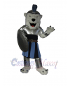 Bear mascot costume
