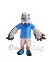 Falcon mascot costume