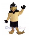 Falcon mascot costume