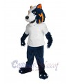 Wolf mascot costume