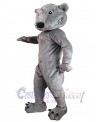 Wolf mascot costume