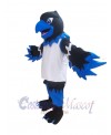 Phoenix Bird mascot costume