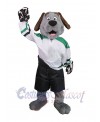 Dog mascot costume