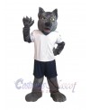 Wolf mascot costume