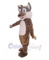 Coyote mascot costume