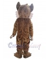 Coyote mascot costume