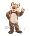 Coyote mascot costume