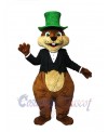 Squirrel mascot costume