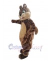 Squirrel mascot costume